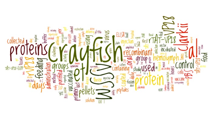 This is a word cloud generated by the website Wordle. It consists of a mixture of dozens of words chosen from text that had been inserted into the app based on scientific writing work I did in the week prior to initially writing this post.