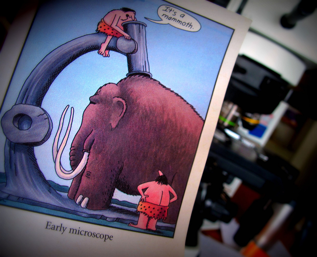 This photograph shows a cartoon image in the foreground, placed on a desk and in front of a microscope which is barely visible in the background. The cartoon image is one from "The Far Side" collection.  It shows a scene where a caveman is standing on top of a giant microscope that has a mammoth underneath it. The caveman is speaking to a second caveman standing below, saying "It's a mammoth."
