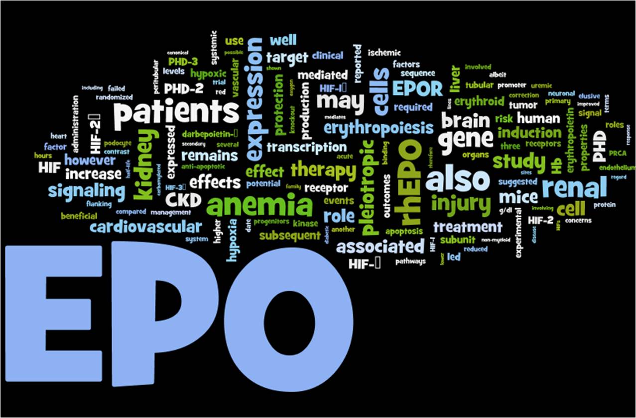 This is a word cloud generated by the website Wordle. It consists of a mixture of dozens of words chosen from text that had been inserted into the app based on scientific writing work I did in the week prior to initially writing this post.